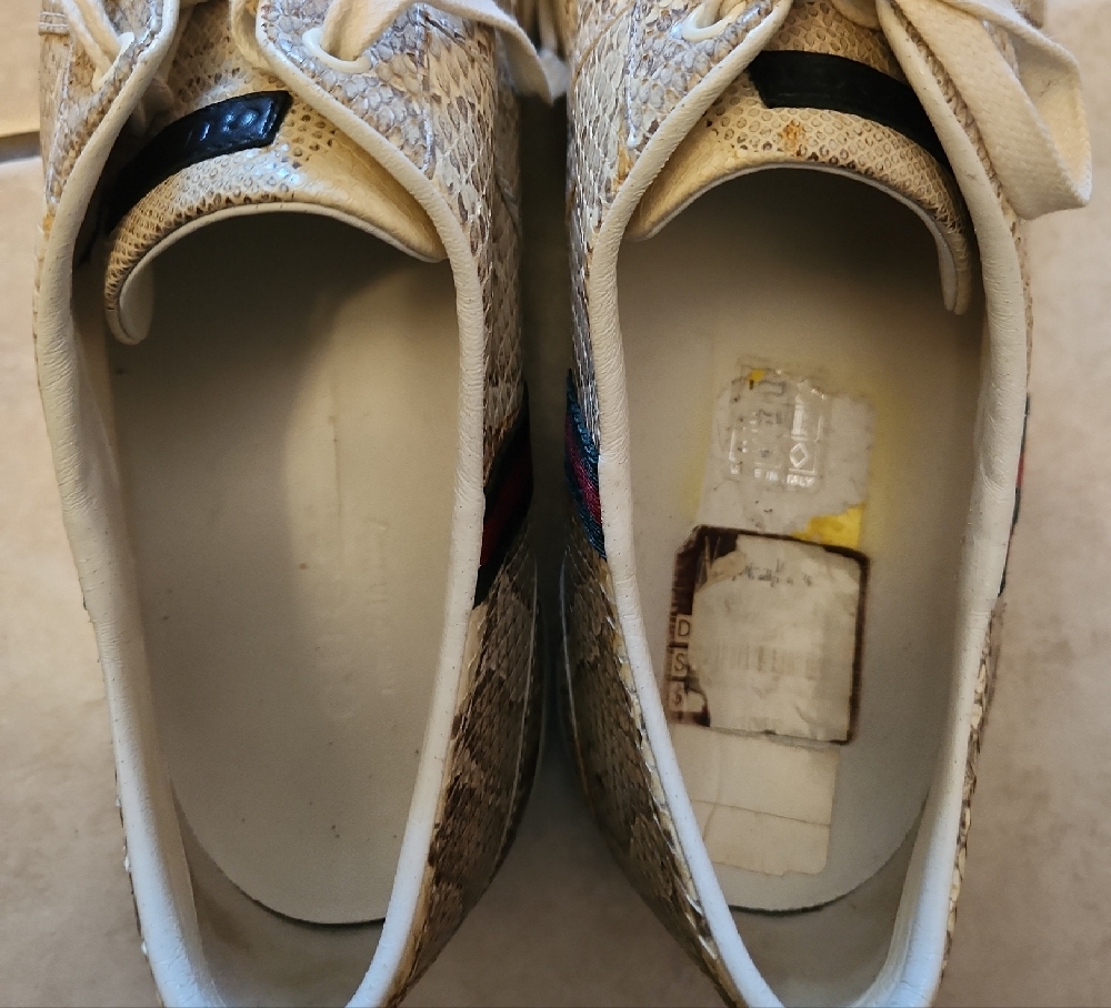 Gucci Tan and White Sneakers Classic Low-Top Design - Picture 5 of 6